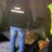 Nisko: 100 kilogramów nielegalnego tytoniu