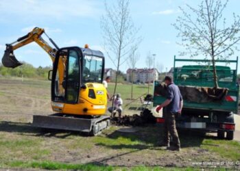 Staszów. Prace pielęgnacyjne w Parku Górników