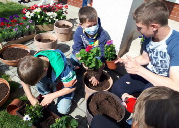 Łoniów: Kwiaty dla domu dziecka od producentów kwiatów z Kichar Starych.