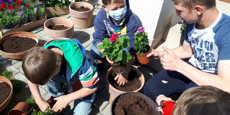 Łoniów: Kwiaty dla domu dziecka od producentów kwiatów z Kichar Starych.