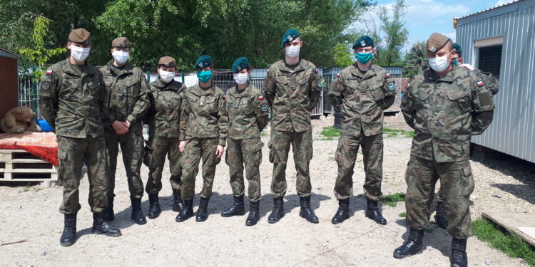 Sandomierz: Nowa kładka, prace w drewutni i służba braciom mniejszym – sandomierscy terytorialsi wspierają schronisko dla psów. FOTOGALERIA