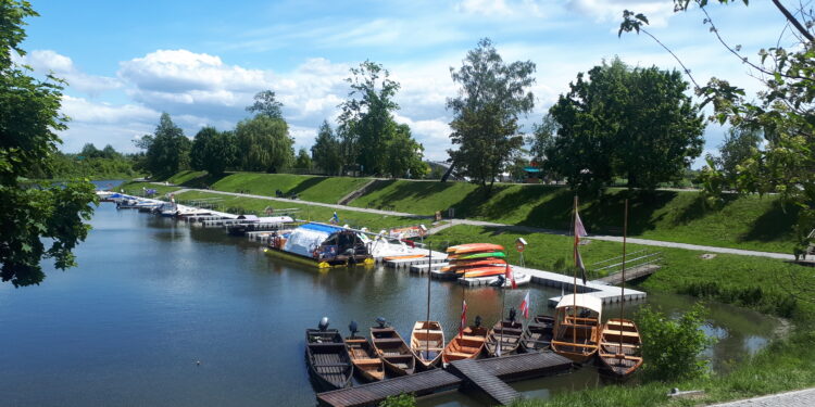 Sandomierz: Kajaki, pływające kaczuszki i łabądki czekają na turystów i mieszkańców.