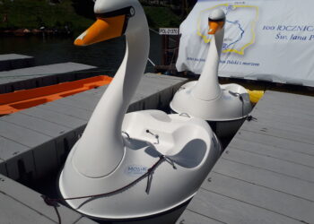 Sandomierz: Kajaki, pływające kaczuszki i łabądki czekają na turystów i mieszkańców.