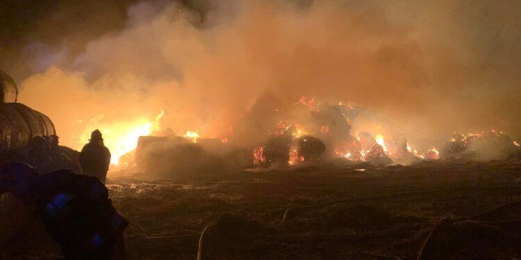 Dębica: Podpalacz zatrzymany