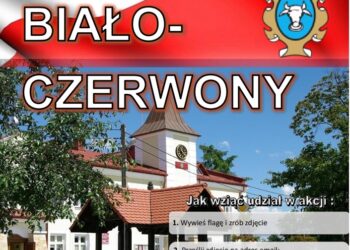 Baranów Sandomierski. Bądź Biało-Czerwony