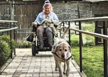 Tarnobrzeg. Niepełnosprawnej mieszkance potrzebny pies asystent.