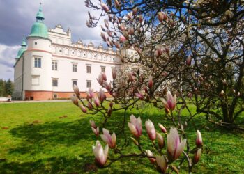 Baranów Sandomierski. Od soboty znów będzie można zwiedzać zamek
