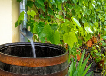 Mielec: Szanujmy wodę