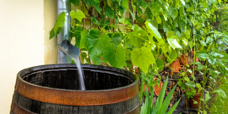 Mielec: Szanujmy wodę