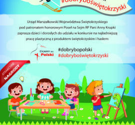 Region: Konkurs „#dobrybopolski #dobryboświętokrzyski”.