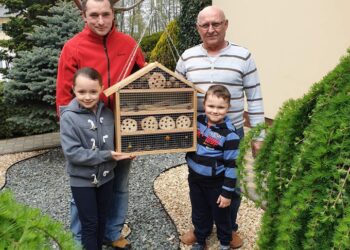 Dębica: Nowe hotele dla… pszczół