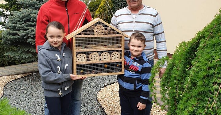 Dębica: Nowe hotele dla… pszczół