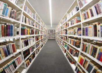 Mielec: Krok po kroku w Kulturze