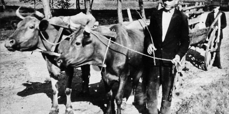 Kolbuszowa: Ma być pomoc dla przedsiębiorców.