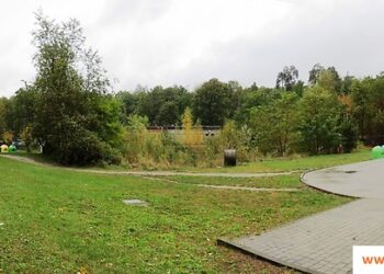 Gorzyce. Okienko podawcze w urzędzie gminy