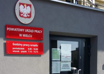 Mielec: Działania aktywizujące w dobie pandemii.