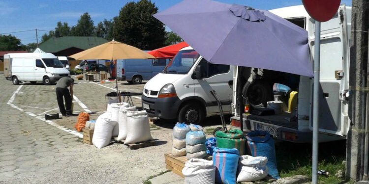 Kolbuszowa: Targ przy Zielonej zamknięty.