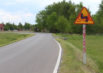 Gorzyce. TyDzień Dziecka