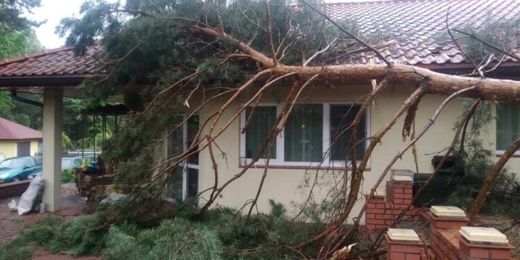 Powiat tarnobrzeski. Strażacy interweniowali po wichurze