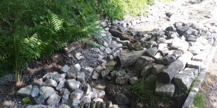 Sandomierz: Nowa atrakcja w parku Piszczele.