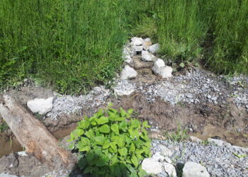 Sandomierz: Nowa atrakcja w parku Piszczele.