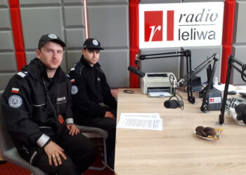 Sandomierz, Staszów, Stalowa Wola, Tarnobrzeg: 200 interwencji Straży Ochrony i Ratownictwa Zwierząt w Polsce w ciągu trzech miesięcy.