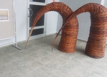 Tarnobrzeg. „Splecione”. Wystawa rzeźb i obrazów z wikliny Stanisława Dziubaka.