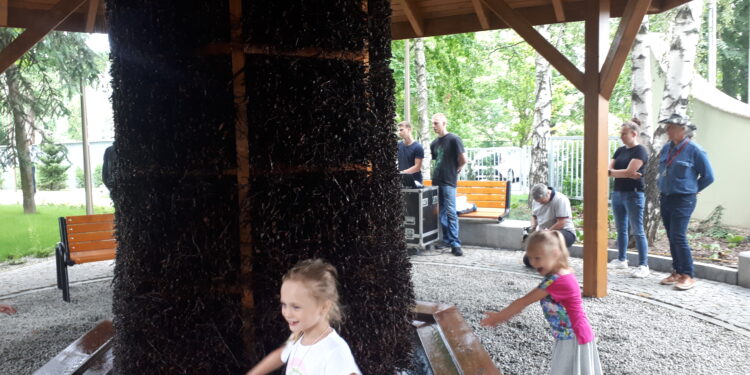 Sandomierz: Tężnia już działa.