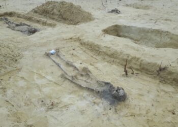 Jeżowe: Podczas prac przy s19 odkryto cmentarz z XVII w z grobami dzieci