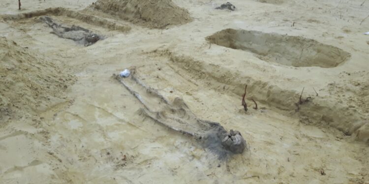 Jeżowe: Podczas prac przy s19 odkryto cmentarz z XVII w z grobami dzieci