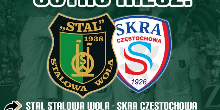 Stalowa Wola: Pokonać rewelacyjną Skrę