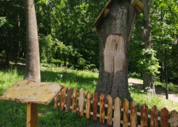 Sandomierz: Pień uschłego drzewa wykorzystany na ul. Kolejna atrakcja w parku Piszczele.