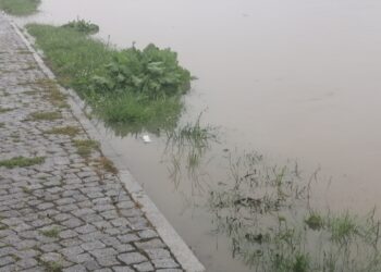 Sandomierz: Jest bezpiecznie mimo przekroczonych stanów ostrzegawczych na Wiśle.