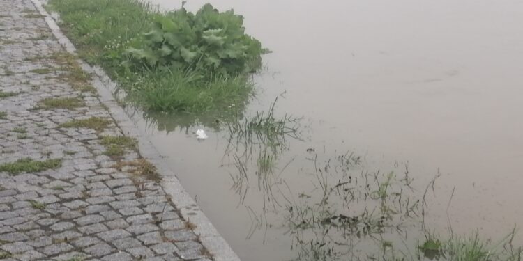 Sandomierz: Jest bezpiecznie mimo przekroczonych stanów ostrzegawczych na Wiśle.