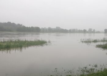 Sandomierz: Jest bezpiecznie mimo przekroczonych stanów ostrzegawczych na Wiśle.