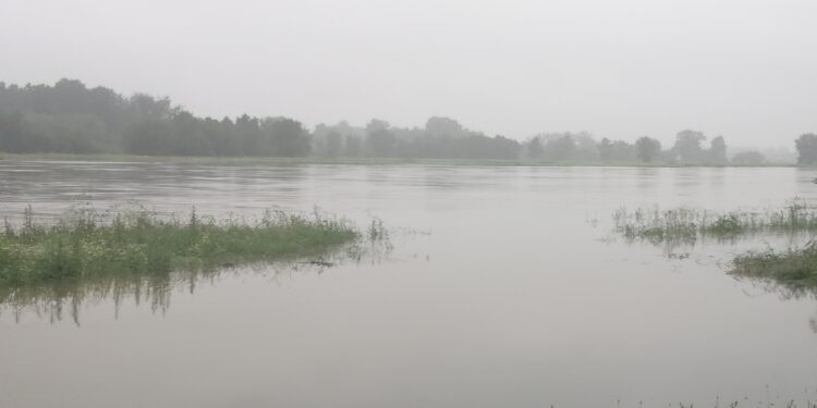 Sandomierz: Jest bezpiecznie mimo przekroczonych stanów ostrzegawczych na Wiśle.