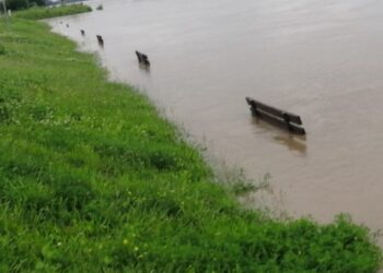 Sandomierz: Jest bezpiecznie mimo przekroczenia stanów ostrzegawczych na Wiśle.