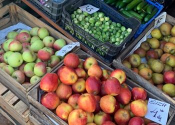 Mielec:  Odmrażanie mieleckich targowisk