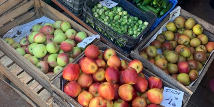 Mielec:  Odmrażanie mieleckich targowisk