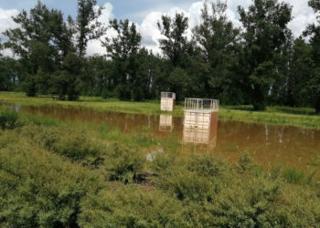 Stalowa Wola: Zator i wypłaszczenie fali wezbraniowej