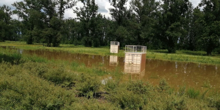 Stalowa Wola: Zator i wypłaszczenie fali wezbraniowej