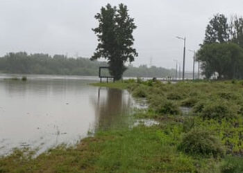 Stalowa Wola: Poziom wody w Sanie rośnie