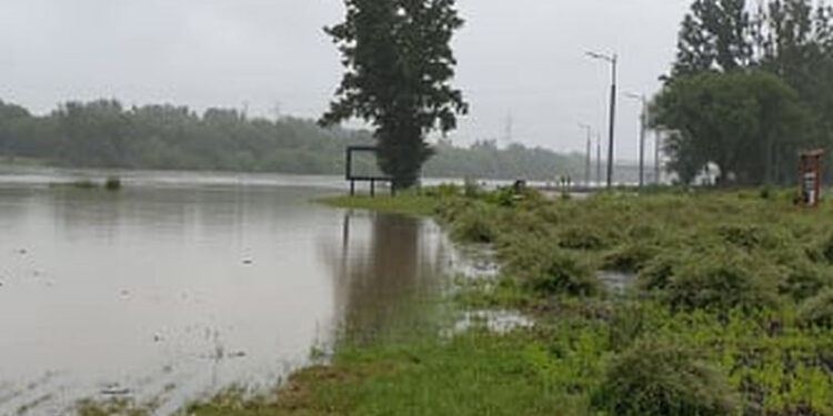Stalowa Wola: Poziom wody w Sanie rośnie