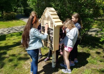 Mielec:  Wypatrujcie hotelików dla owadów