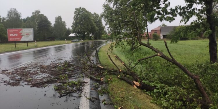 Tarnobrzeg, powiat tarnobrzeski. Strażacy interweniowali po wichurze