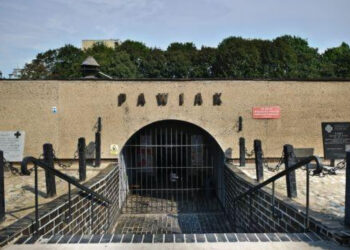 Mielec: Nie może zaginąć pamięć o naszej mieszkance