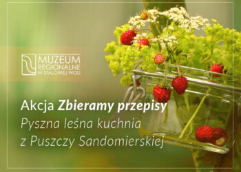 Stalowa Wola: Pyszna leśna kuchnia z Puszczy Sandomierskiej.