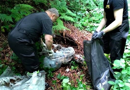 Dębica: Postanowili posprzątać lasy