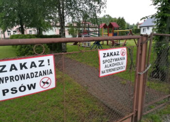Kolbuszowa: Chce parku dla psów.