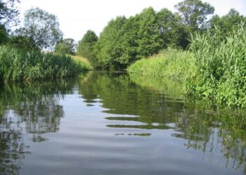Gorzyce. Wyższy poziom rzek, ale nie ma zagrożenia dla mieszkańców